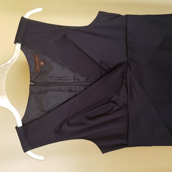 The Limited Dress - Picture 2 of 4